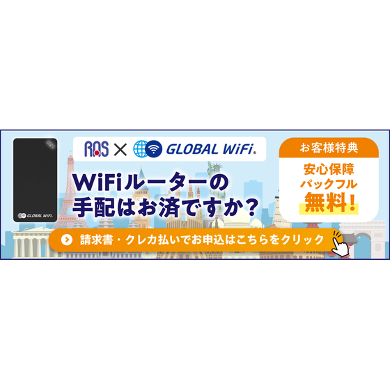 【新バナー】ビジョンWi-Fi.png