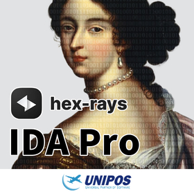 IDA Pro - 逆アセンブラ・デコンパイラ