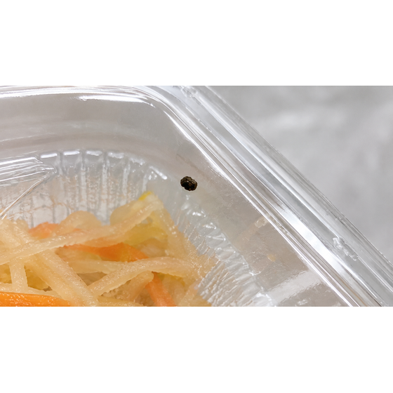 食品製造業における画像解析を活用した異物の位置関係検証_1.png