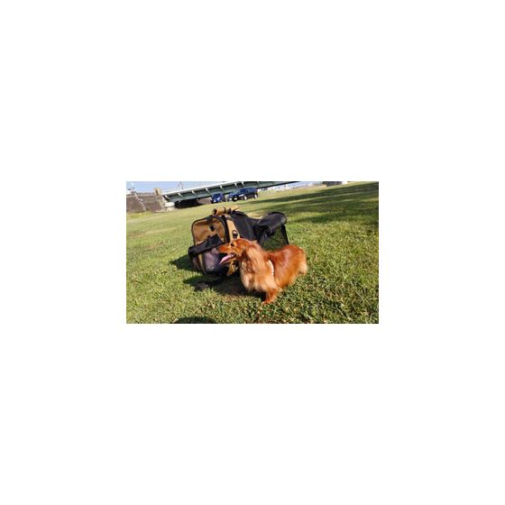 IPROS carry cage image.jpeg