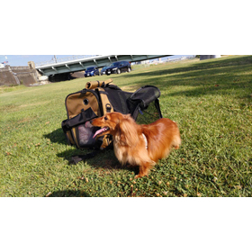 【ホテルゲスト向け】Carry Cage