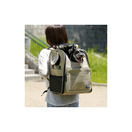 IPROS kyari-baggu modern image.jpg