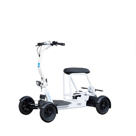 Specific small-sized electric vehic...