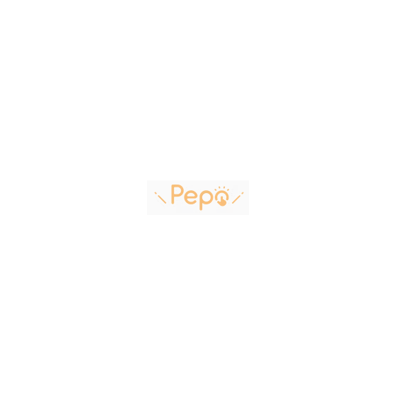 株式会社Pepo 企業ロゴ.png