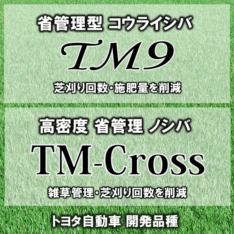 緑地の管理コストと環境負荷を低減　トヨタ自動車が開発した芝生