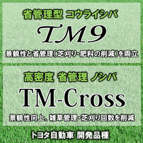 高い景観性を省管理で維持できる芝生：トヨタ自動車 開発品種