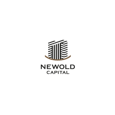 ?NEWOLD CAPITAL 会社案内 画像.png