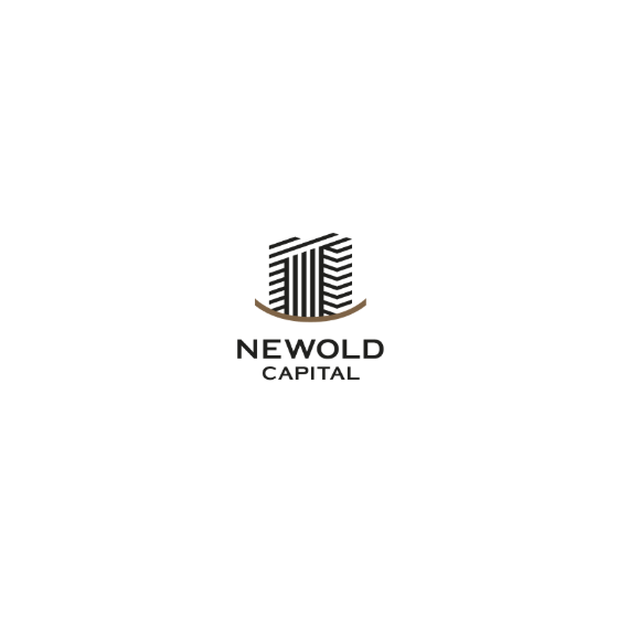 ?NEWOLD CAPITAL 会社案内 画像.png