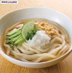 お水で解凍 うどん 武蔵野フーズ | イプロス