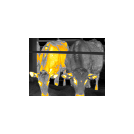 ?家畜と飼養環境の熱画像分析 画像.png