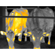 ?家畜と飼養環境の熱画像分析 画像.png
