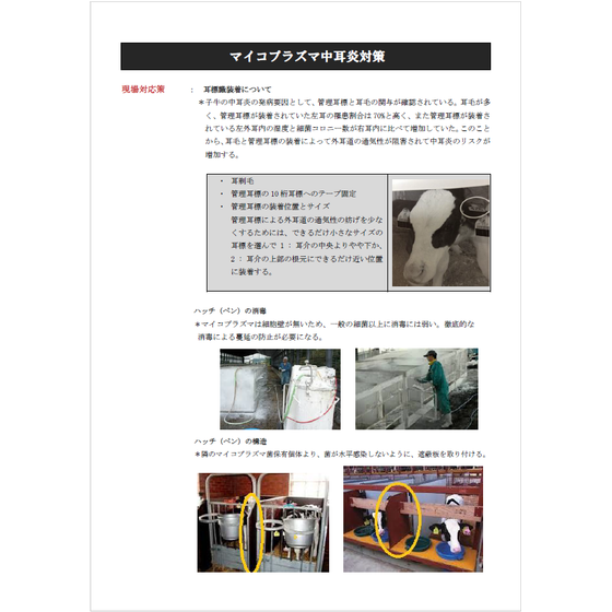 ?マイコプラズマ中耳炎対策 画像.png