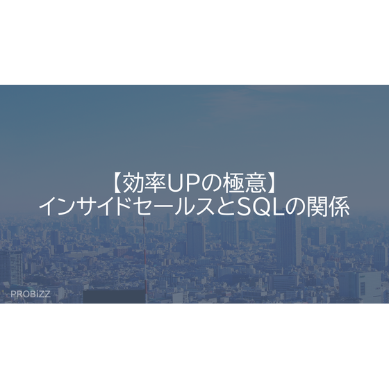 image_2025_9_19_8.png