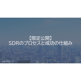 【限定公開】SDRのプロセスと成功の仕組み