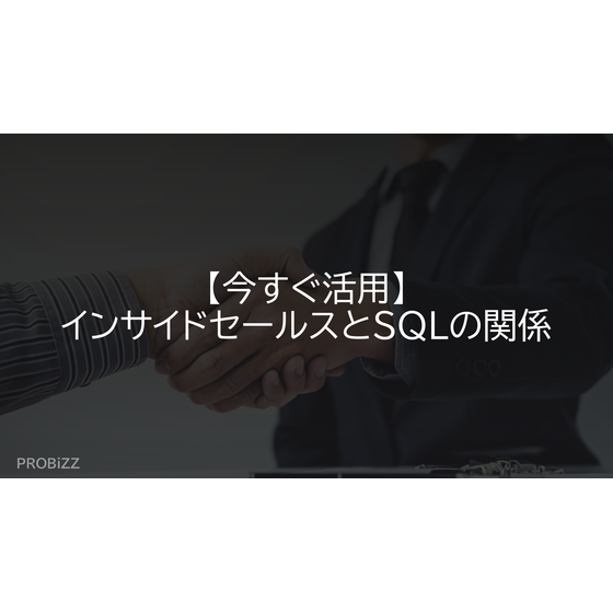 image_2025_9_17_1.png