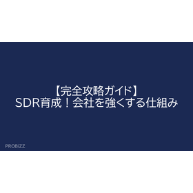 [Complete Strategy Guide] SDR Devel...