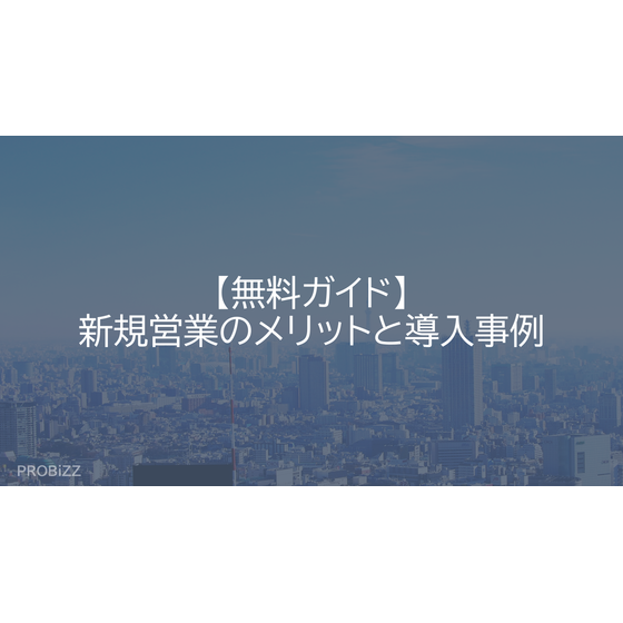 image_2025_8_11_20.png