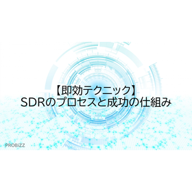 【即効テクニック】SDRのプロセスと成功の仕組み