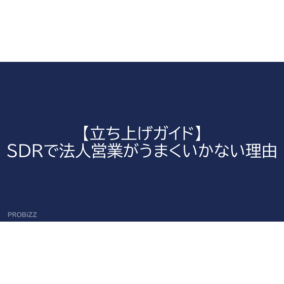 image_2025_8_7_2.png