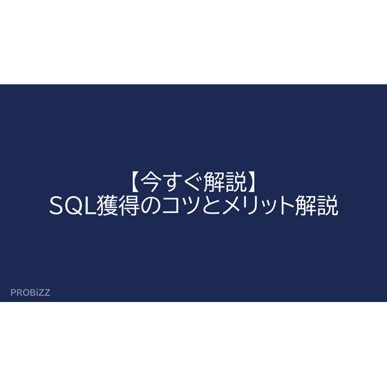 image_2025_9_11_2.png