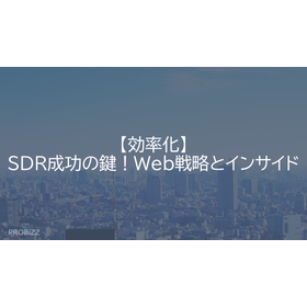 Efficiency: The Key to Successful S...