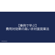 image_2025_9_4_18.png