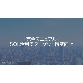 【完全マニュアル】SQL活用でターゲット精度向上