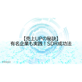 image_2025_8_25_11.png