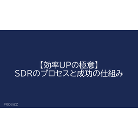 【効率UPの極意】SDRのプロセスと成功の仕組み