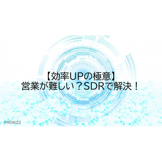 image_2025_8_19_7.png