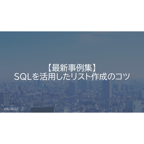 【最新事例集】SQLを活用したリスト作成のコツ 製品画像