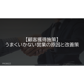 Customer Acquisition Strategies: Causes of Ineffective Sales and Improvement Measures