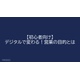 image_2025_8_28_2.png