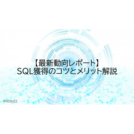 image_2025_8_19_11.png