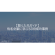 image_2025_8_11_8.png