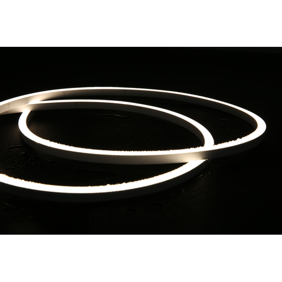 TL-SN11-24V.JPG