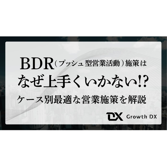 ?BDR施策はなぜ上手くいかないのか 画像.jpg