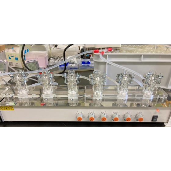 vitro.jpg