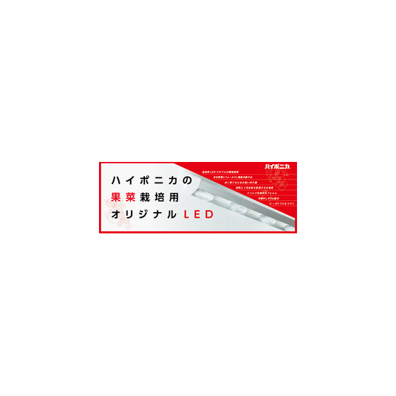 12.png