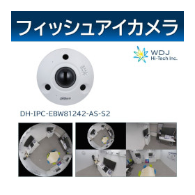 Dahua brand network camera [fisheye] product image