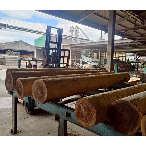 スクリーンショット 2025-11-27 11.21.41.png