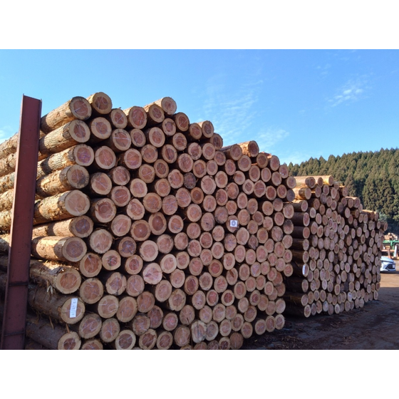 スクリーンショット 2025-10-29 15.31.30.png