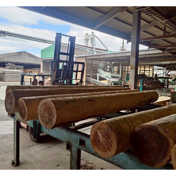 スクリーンショット 2025-11-07 11.46.20.png