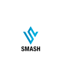 Business Efficiency Consultant product image