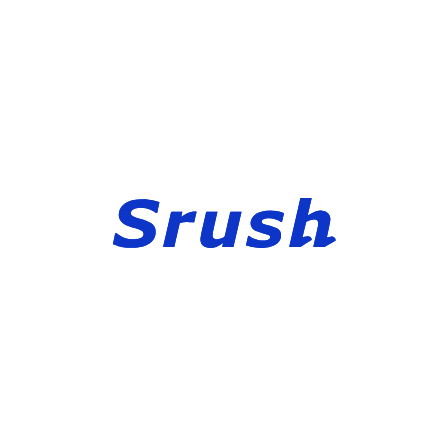株式会社Srush 会社概要.png