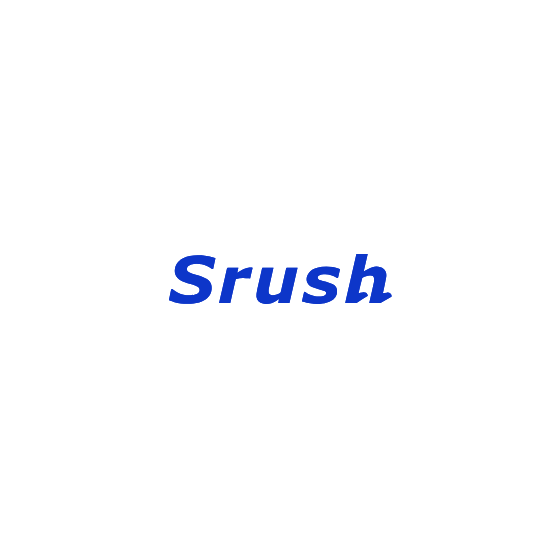 株式会社Srush 会社概要.png