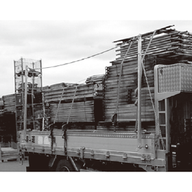 Truck tailgating pole