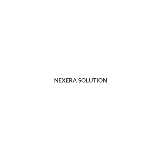 株式会社NEXERA Solution.png