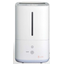 Ultrasonic nebulizer
