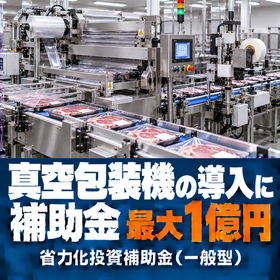 真空包装機導入に使える補助金｜省力化投資補助金